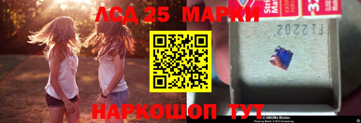 LSD-25 экстази кислота  Вход с VPN  ЛСД экстази  Новодвинск  LSD-25 экстази кислота 
