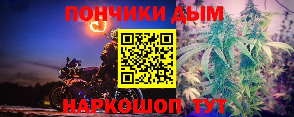 Бошки Шишки гибрид Новодвинск